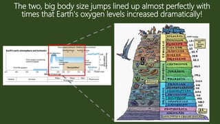 O2 Availability Sense and adaptability of animal cells to oxygen availability | PPT