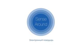 Электронный поводырь 
 