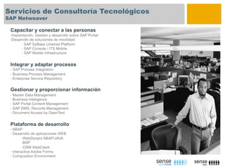 Servicios de Consultoría Tecnológicos
SAP Netweaver
 