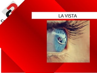 LA VISTA




www.innovamercados.com
 