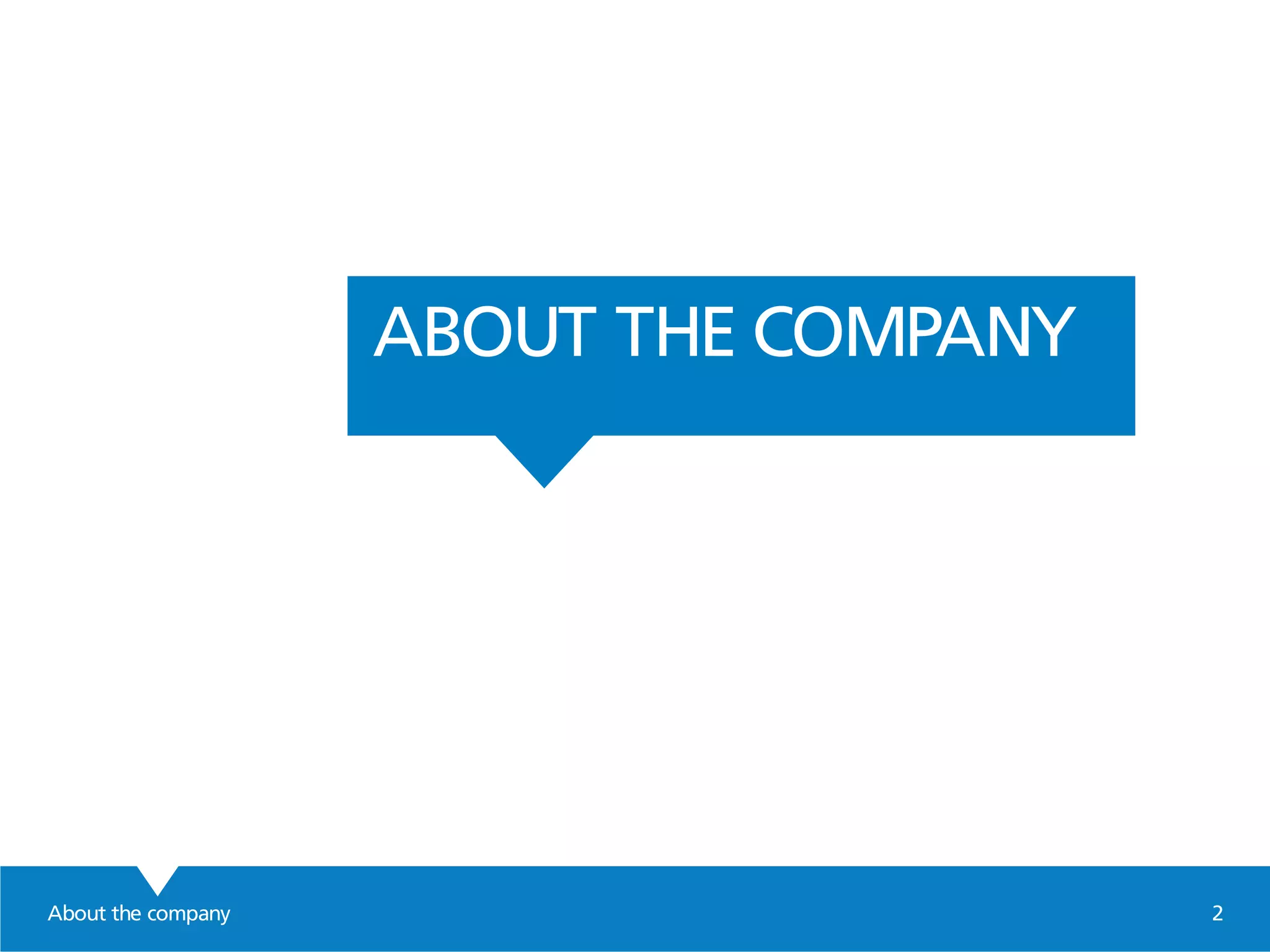 About the company 2
ABOUT THE COMPANY
 