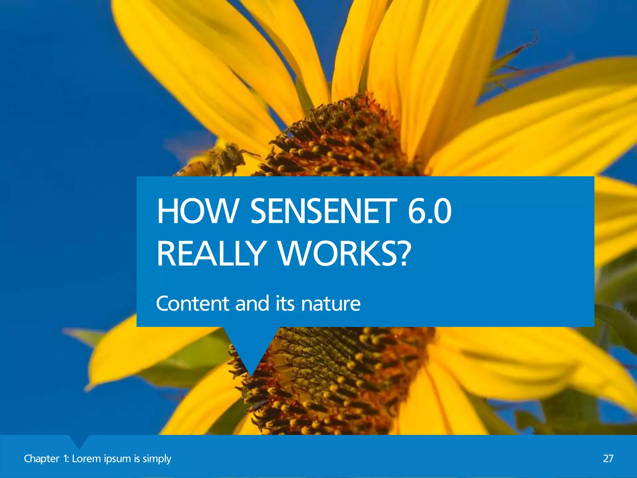 Chapter 1: Lorem ipsum is simply 27
HOW SENSENET 6.0
REALLY WORKS?
Content and its nature
 