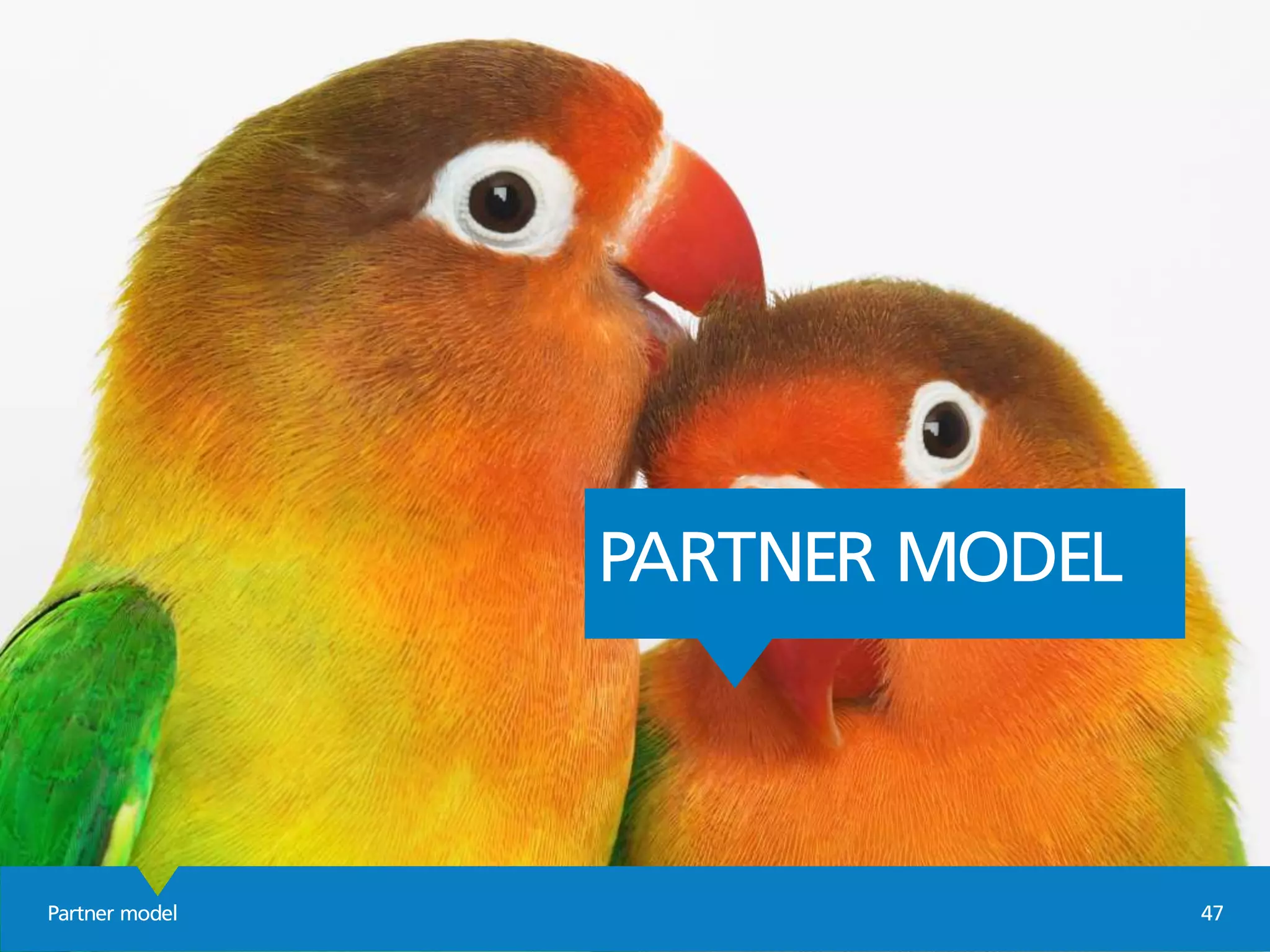 Partner model 47
PARTNER MODEL
 