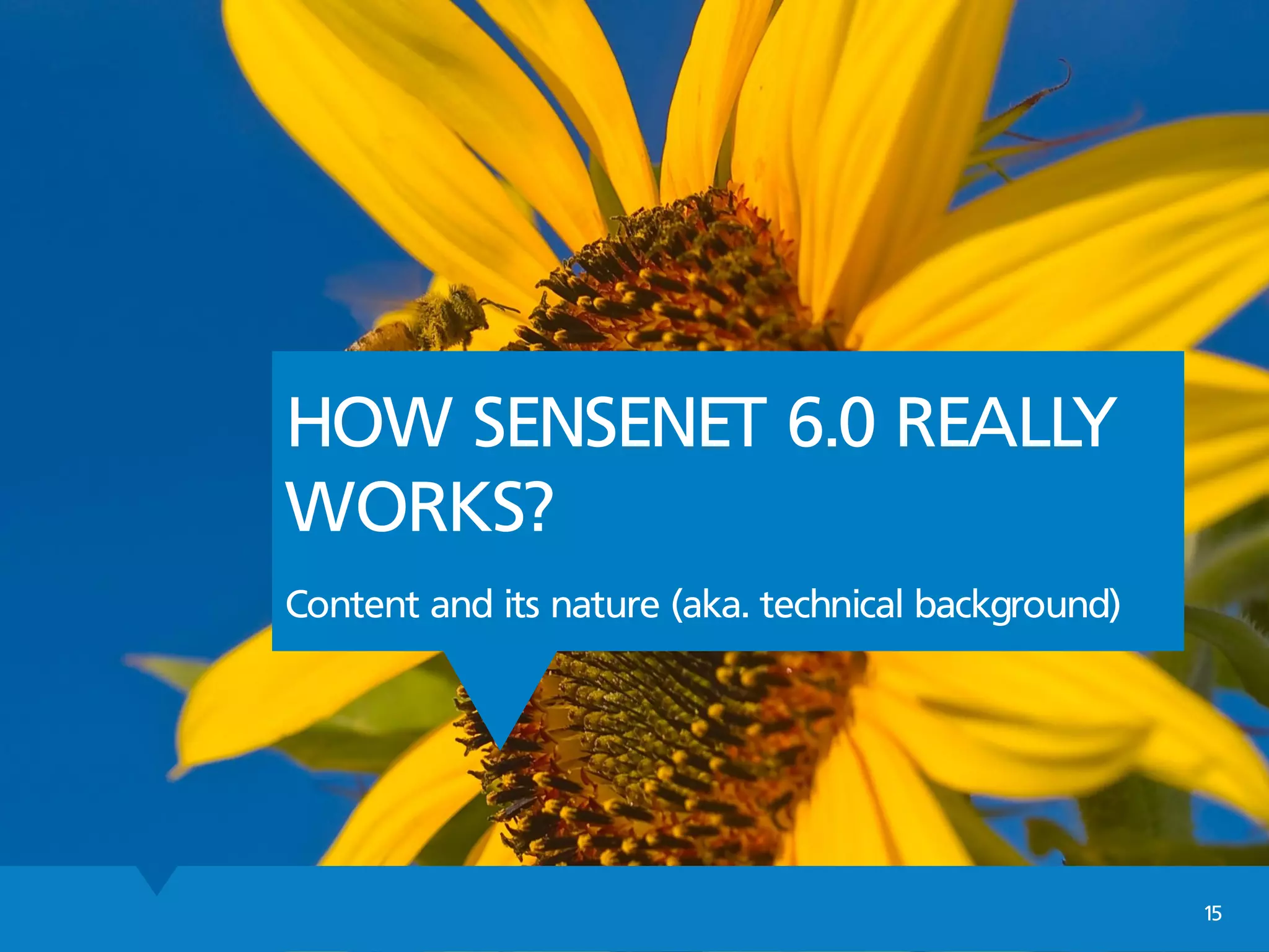 15
HOW SENSENET 6.0 REALLY
WORKS?
Content and its nature (aka. technical background)
 