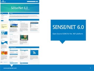 www.sensenet.com 1
SENSE/NET 6.0
Open Source ECMS for the .NET platform
 