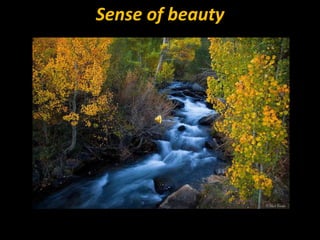Sense of beauty 