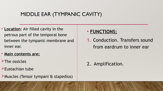 The physiology of Hearing, balance and equilibrium | PPTX