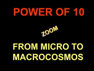 POWER OF 10  ZOOM FROM MICRO TO MACROCOSMOS . 