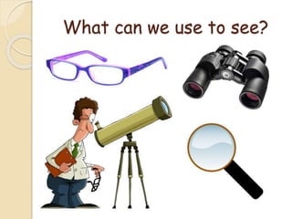 Sense of Sight | PPTX