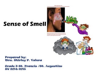 Sense of Smell
Prepared by:
Mrs. Shirley P. Valera
Grade 3 St. Francis /St. Augustine
SY 2014-2015
 