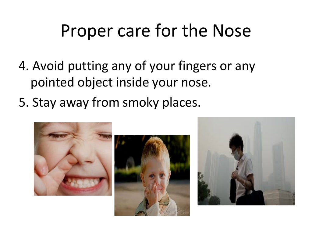 Sense of smell(nose.ppt grade 3)