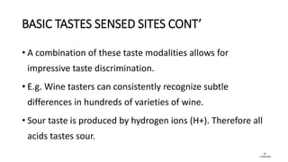 Sense of taste | PDF