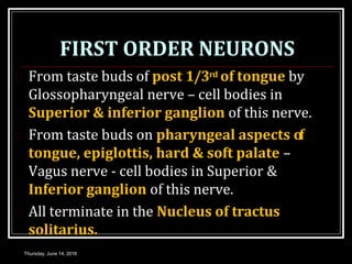 FIRST ORDER NEURONS
Thursday, June 14, 2018
 From taste buds of post 1/3rd of tongue by
Glossopharyngeal nerve – cell bodies in
Superior & inferior ganglion of this nerve.
 From taste buds on pharyngeal aspects of
tongue, epiglottis, hard & soft palate –
Vagus nerve - cell bodies in Superior &
Inferior ganglion of this nerve.
 All terminate in the Nucleus of tractus
solitarius.
 