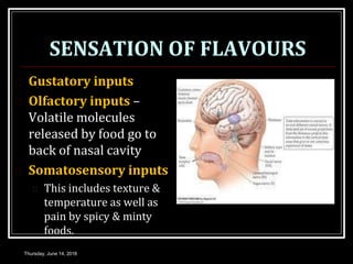 SENSATION OF FLAVOURS
 Gustatory inputs
 Olfactory inputs –
Volatile molecules
released by food go to
back of nasal cavity
 Somatosensory inputs
 This includes texture &
temperature as well as
pain by spicy & minty
foods.
Thursday, June 14, 2018
 