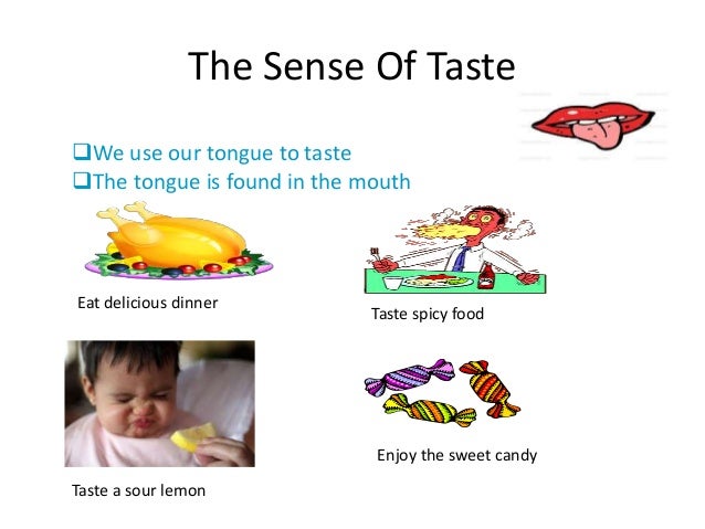 sense-of-taste-activity