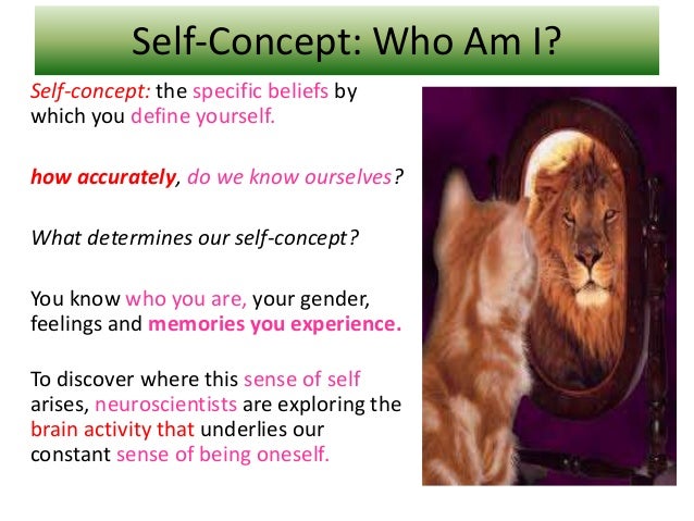 Sense of the self in the world 2