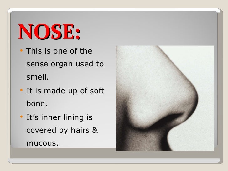 Sense Organs