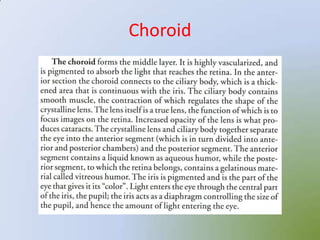 Choroid
 