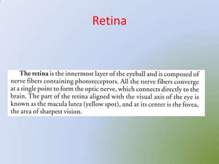 Retina
 