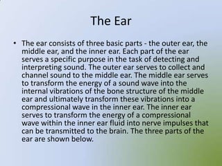 The Ear
• The ear consists of three basic parts - the outer ear, the
  middle ear, and the inner ear. Each part of the ear
  serves a specific purpose in the task of detecting and
  interpreting sound. The outer ear serves to collect and
  channel sound to the middle ear. The middle ear serves
  to transform the energy of a sound wave into the
  internal vibrations of the bone structure of the middle
  ear and ultimately transform these vibrations into a
  compressional wave in the inner ear. The inner ear
  serves to transform the energy of a compressional
  wave within the inner ear fluid into nerve impulses that
  can be transmitted to the brain. The three parts of the
  ear are shown below.
 