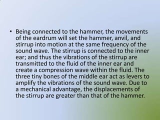 • Being connected to the hammer, the movements
  of the eardrum will set the hammer, anvil, and
  stirrup into motion at the same frequency of the
  sound wave. The stirrup is connected to the inner
  ear; and thus the vibrations of the stirrup are
  transmitted to the fluid of the inner ear and
  create a compression wave within the fluid. The
  three tiny bones of the middle ear act as levers to
  amplify the vibrations of the sound wave. Due to
  a mechanical advantage, the displacements of
  the stirrup are greater than that of the hammer.
 