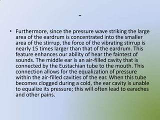 -
• Furthermore, since the pressure wave striking the large
  area of the eardrum is concentrated into the smaller
  area of the stirrup, the force of the vibrating stirrup is
  nearly 15 times larger than that of the eardrum. This
  feature enhances our ability of hear the faintest of
  sounds. The middle ear is an air-filled cavity that is
  connected by the Eustachian tube to the mouth. This
  connection allows for the equalization of pressure
  within the air-filled cavities of the ear. When this tube
  becomes clogged during a cold, the ear cavity is unable
  to equalize its pressure; this will often lead to earaches
  and other pains.
 