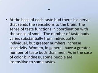 -
• At the base of each taste bud there is a nerve
  that sends the sensations to the brain. The
  sense of taste functions in coordination with
  the sense of smell. The number of taste buds
  varies substantially from individual to
  individual, but greater numbers increase
  sensitivity. Women, in general, have a greater
  number of taste buds than men. As in the case
  of color blindness, some people are
  insensitive to some tastes.
 