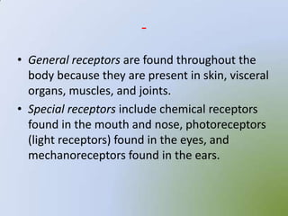 -
• General receptors are found throughout the
  body because they are present in skin, visceral
  organs, muscles, and joints.
• Special receptors include chemical receptors
  found in the mouth and nose, photoreceptors
  (light receptors) found in the eyes, and
  mechanoreceptors found in the ears.
 