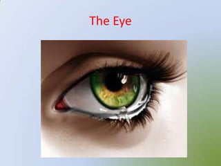 The Eye
 