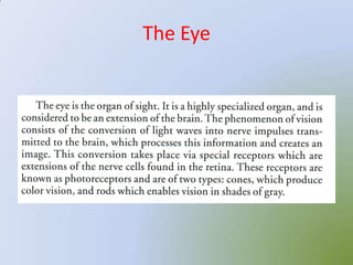 The Eye
 