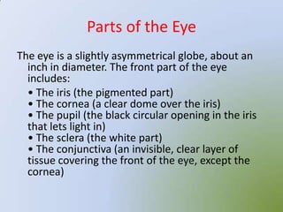 Parts of the Eye
The eye is a slightly asymmetrical globe, about an
  inch in diameter. The front part of the eye
  includes:
  • The iris (the pigmented part)
  • The cornea (a clear dome over the iris)
  • The pupil (the black circular opening in the iris
  that lets light in)
  • The sclera (the white part)
  • The conjunctiva (an invisible, clear layer of
  tissue covering the front of the eye, except the
  cornea)
 
