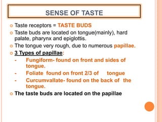 SENSE OF TASTE
 Taste receptors = TASTE BUDS
 Taste buds are located on tongue(mainly), hard
palate, pharynx and epiglottis.
 The tongue very rough, due to numerous papillae.
 3 Types of papillae:
- Fungiform- found on front and sides of
tongue.
- Foliate found on front 2/3 of tongue
- Curcumvallate- found on the back of the
tongue.
 The taste buds are located on the papillae
 