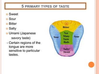 5 PRIMARY TYPES OF TASTE
 Sweet
 Sour
 Bitter
 Salty
 Umami (Japanese
savory taste)
- Certain regions of the
tongue are more
sensitive to particular
tastes.
 