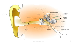 GLADYS STEPHEN MPHARM 14
 
