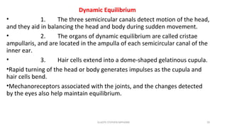 Dynamic Equilibrium
• 1. The three semicircular canals detect motion of the head,
and they aid in balancing the head and body during sudden movement.
• 2. The organs of dynamic equilibrium are called cristae
ampullaris, and are located in the ampulla of each semicircular canal of the
inner ear.
• 3. Hair cells extend into a dome-shaped gelatinous cupula.
•Rapid turning of the head or body generates impulses as the cupula and
hair cells bend.
•Mechanoreceptors associated with the joints, and the changes detected
by the eyes also help maintain equilibrium.
GLADYS STEPHEN MPHARM 20
 