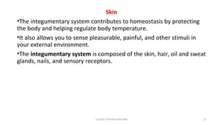 Skin
•The integumentary system contributes to homeostasis by protecting
the body and helping regulate body temperature.
•It also allows you to sense pleasurable, painful, and other stimuli in
your external environment.
•The integumentary system is composed of the skin, hair, oil and sweat
glands, nails, and sensory receptors.
GLADYS STEPHEN MPHARM 22
 