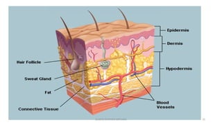 GLADYS STEPHEN MPHARM 25
 