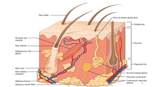GLADYS STEPHEN MPHARM 26
 