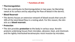 • Functions of skin
• Thermoregulation
• The skin contributes to thermoregulation in two ways: by liberating
sweat at its surface and by adjusting the flow of blood in the dermis.
• Blood Reservoir
• The dermis houses an extensive network of blood vessels that carry 8–
10% of the total blood flow in a resting adult. For this reason, the skin
acts as a blood reservoir.
• Protection
• The skin provides protection to the body in various ways. Keratin
protects underlying tissues from microbes, abrasion, heat, and chemicals
and the tightly interlocked keratinocytes resist invasion by microbes.
GLADYS STEPHEN MPHARM 27
 