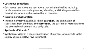 • Cutaneous Sensations
• Cutaneous sensations are sensations that arise in the skin, including
tactile sensations—touch, pressure, vibration, and tickling—as well as
thermal sensations such as warmth and coolness.
• Excretion and Absorption
• The skin normally has a small role in excretion, the elimination of
substances from the body, and absorption, the passage of materials from
the external environment into body cells.
• Synthesis of Vitamin D
• Synthesis of vitamin D requires activation of a precursor molecule in the
skin by ultraviolet (UV) rays in sunlight.
GLADYS STEPHEN MPHARM 28
 
