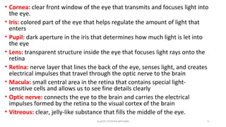 • Cornea: clear front window of the eye that transmits and focuses light into
the eye.
• Iris: colored part of the eye that helps regulate the amount of light that
enters
• Pupil: dark aperture in the iris that determines how much light is let into
the eye
• Lens: transparent structure inside the eye that focuses light rays onto the
retina
• Retina: nerve layer that lines the back of the eye, senses light, and creates
electrical impulses that travel through the optic nerve to the brain
• Macula: small central area in the retina that contains special light-
sensitive cells and allows us to see fine details clearly
• Optic nerve: connects the eye to the brain and carries the electrical
impulses formed by the retina to the visual cortex of the brain
• Vitreous: clear, jelly-like substance that fills the middle of the eye.
GLADYS STEPHEN MPHARM 4
 