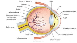 GLADYS STEPHEN MPHARM 5
 