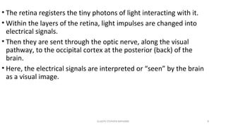 • The retina registers the tiny photons of light interacting with it.
• Within the layers of the retina, light impulses are changed into
electrical signals.
• Then they are sent through the optic nerve, along the visual
pathway, to the occipital cortex at the posterior (back) of the
brain.
• Here, the electrical signals are interpreted or “seen” by the brain
as a visual image.
GLADYS STEPHEN MPHARM 8
 