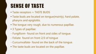 SENSE OF TASTE
• Taste receptors = TASTE BUDS
• Taste buds are located on tongue(mainly), hard palate,
pharynx and epiglottis.
• The tongue very rough, due to numerous papillae.
• 3 Types of papillae:
- Fungiform- found on front and sides of tongue.
- Foliate found on front 2/3 of tongue
- Curcumvallate- found on the back of the tongue.
• The taste buds are located on the papillae.
 