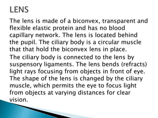 The lens is made of a biconvex, transparent and
flexible elastic protein and has no blood
capillary network. The lens is located behind
the pupil. The ciliary body is a circular muscle
that that hold the biconvex lens in place.
The ciliary body is connected to the lens by
suspensory ligaments. The lens bends (refracts)
light rays focusing from objects in front of eye.
The shape of the lens is changed by the ciliary
muscle, which permits the eye to focus light
from objects at varying distances for clear
vision.
 