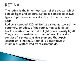 The retina is the innermost layer of the eyeball which
detects light and colours. Retina is composed of two
types of photosensitive cells: the rods and cones.
Rods
Rod cells (around 120 million) are situated toward the
periphery, or edge, of the retina. Rod cells detect
black & white colours in dim light (low intensity light).
They are not sensitive to other colours. Rod cells
consist of a photosensitive pigment Rhodopsin
(Scotopsin + Retinal). Retinal is a derivative of
Vitamin A synthesized from carotenoids.
 