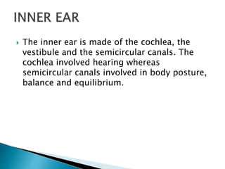  The inner ear is made of the cochlea, the
vestibule and the semicircular canals. The
cochlea involved hearing whereas
semicircular canals involved in body posture,
balance and equilibrium.
 