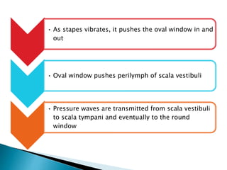 • As stapes vibrates, it pushes the oval window in and
out
• Oval window pushes perilymph of scala vestibuli
• Pressure waves are transmitted from scala vestibuli
to scala tympani and eventually to the round
window
 