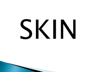 SKIN
 