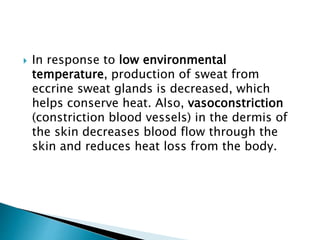  In response to low environmental
temperature, production of sweat from
eccrine sweat glands is decreased, which
helps conserve heat. Also, vasoconstriction
(constriction blood vessels) in the dermis of
the skin decreases blood flow through the
skin and reduces heat loss from the body.
 